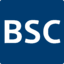 BSX Logo