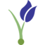 FLWS Logo
