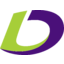 LDI Logo