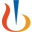 NVS Logo