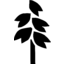 OTLY Logo