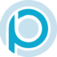PLSE Logo
