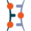 SLN Logo