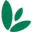 SMG Logo