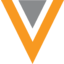 VEEV Logo